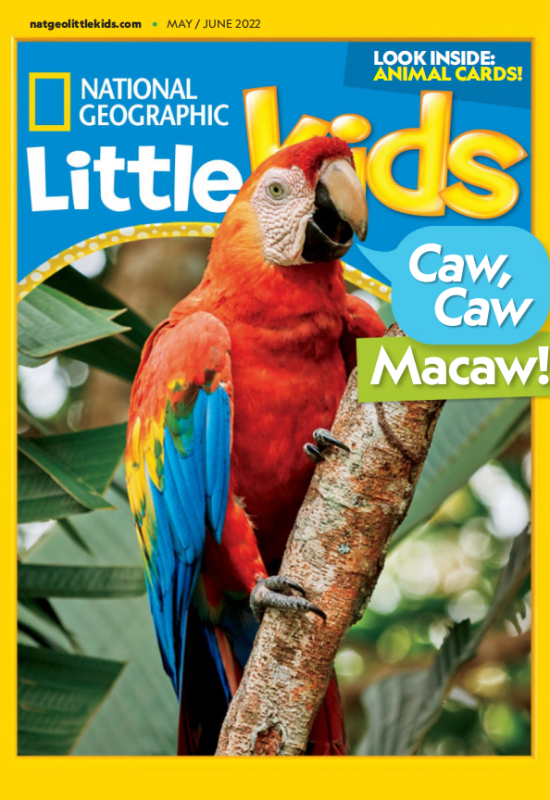 National Geographic Little Kids国家地理幼儿版2022年5月&6月刊高清无水印PDF