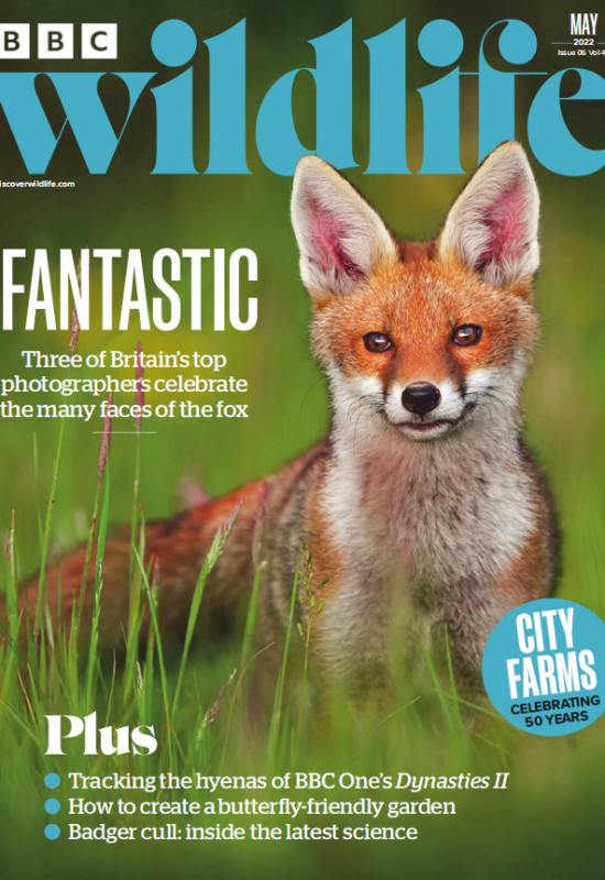 BBC Wildlife BBC野生动物2022年5月刊高清无水印PDF