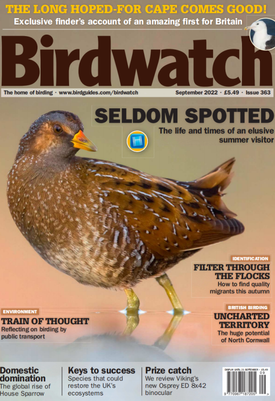 Birdwatch2022年9月刊高清无水印PDF