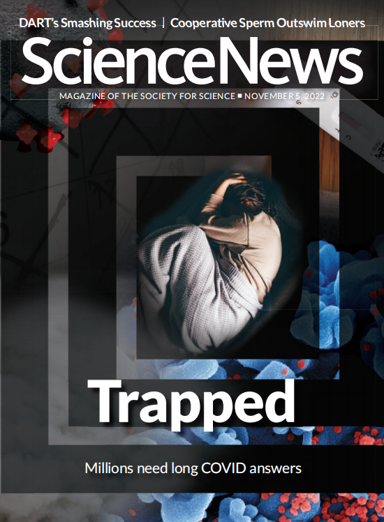 Science News科学新闻2022年11月05日 周刊高清无水印PDF 原版外刊