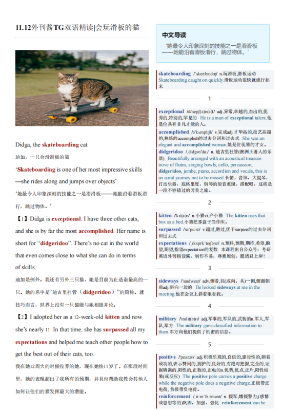 2022-11-12 TG卫报双语精读 |会玩滑板的猫（PDF版+Word版）