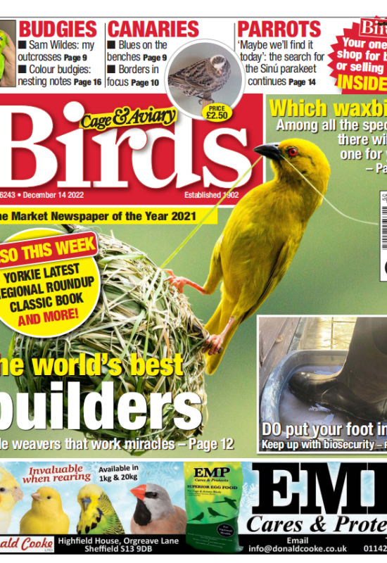 Cage & Aviary Birds2022年12月14日 周刊高清无水印PDF 原版外刊