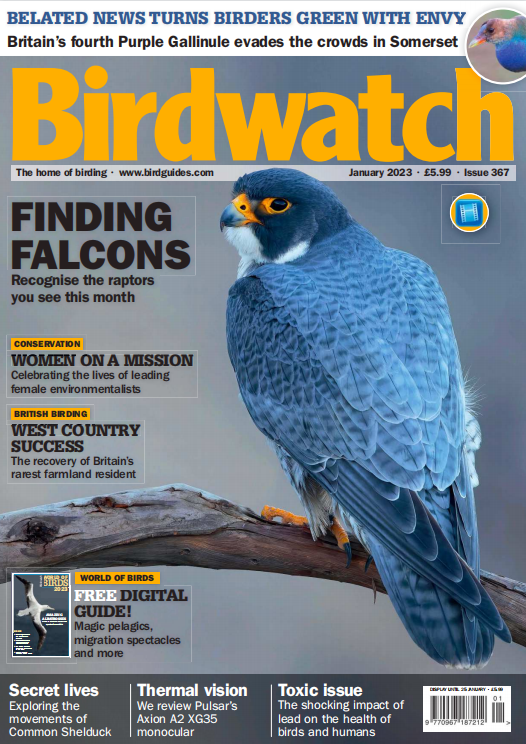 Birdwatch2023年01月刊高清无水印PDF