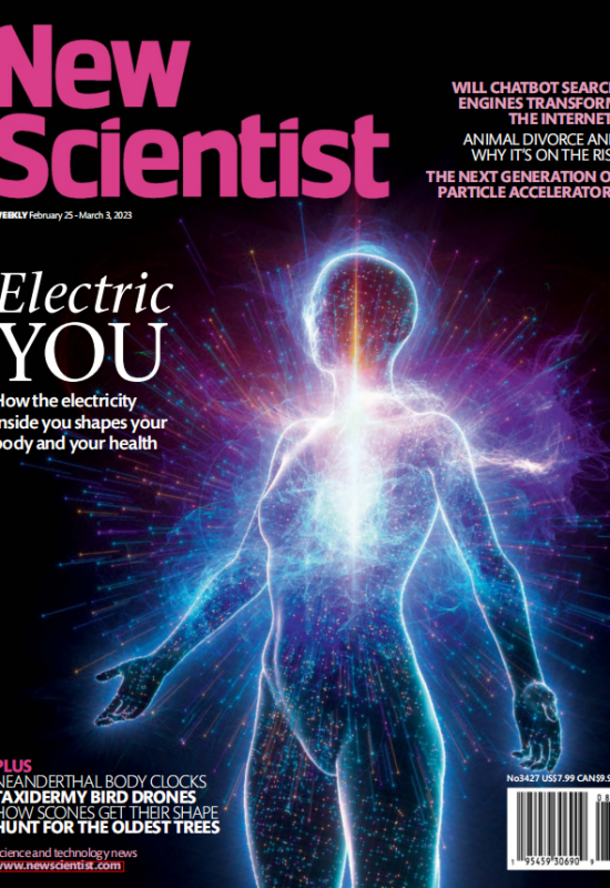 New Scientist新科学家2023年2月25日&3月3日 周刊高清无水印PDF 原版外刊